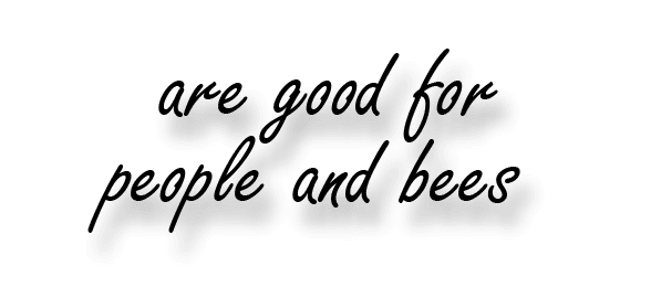  are good for people and bees